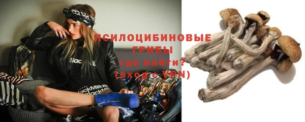 гидропоника Дмитров
