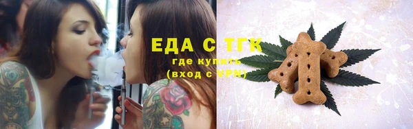 тгк Шадринск