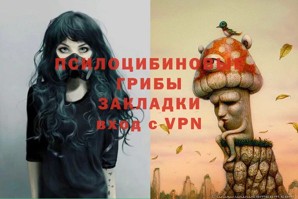 гидропоника Дмитров